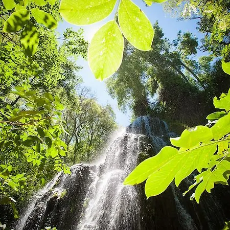 Monasterio De Piedra Nuévalos