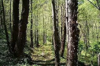 Monasterio De Piedra 3*
