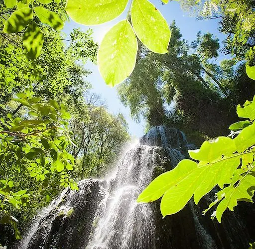 Monasterio De Piedra Nuévalos